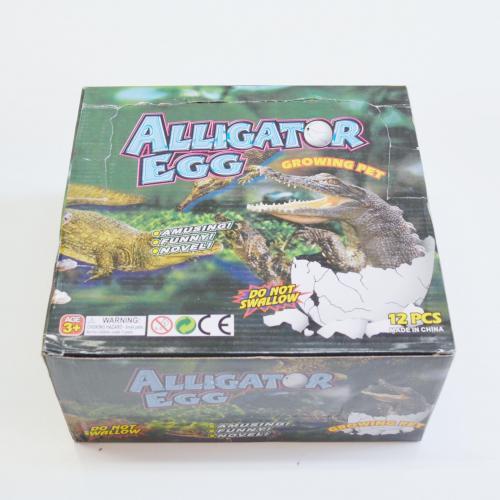 Copy of Large Growing Alligator Egg- 1 Dozen Display Box